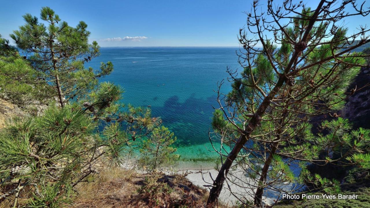 Le Dixmude, Appartement Proche Plage De Morgat Crozon Exteriér fotografie